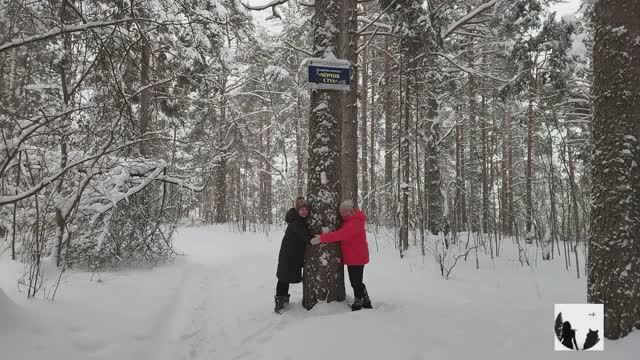 История карельского бокса