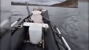 ПВХ лодка для рыбалки | Перегрузка носа (бака) лодки | SATURN KaBoat SK430