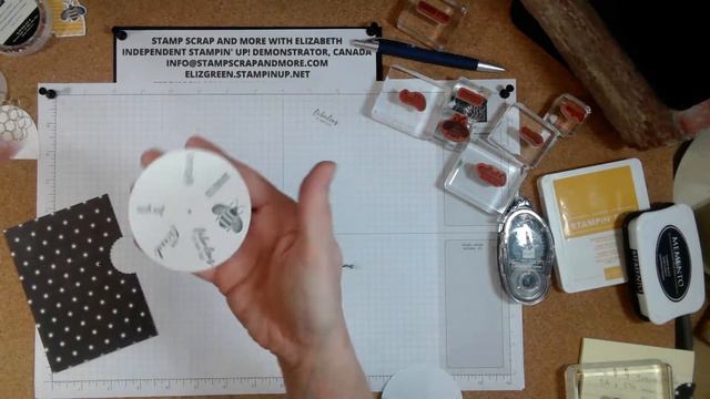 Viewfinder card using the Bumble Bee stamp set and co-ordinating die смотреть онлайн
