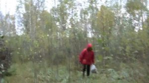 6.10. 15 Саров. За грибами на Филипповку.