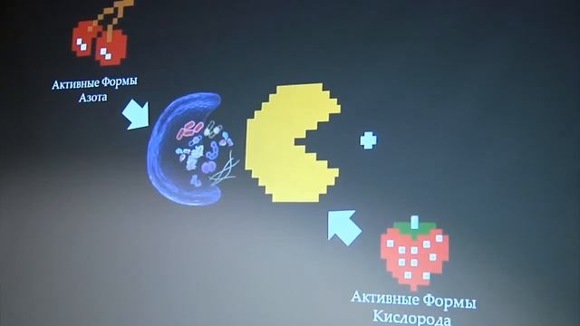 Анастасия Мазина - Аутофагия в растениях: самопоедание - убийство или спасение от стресса?