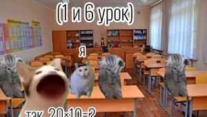 Мой день с мемными котятами😈#котики