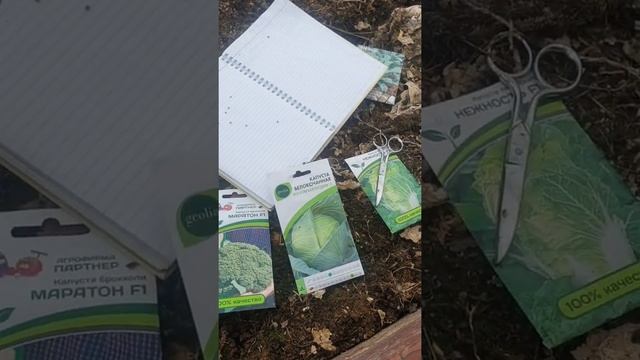 Сажаю капусту. Посев в теплицу. Апрель 2022. #рассада #огород #капуста смотреть онлайн