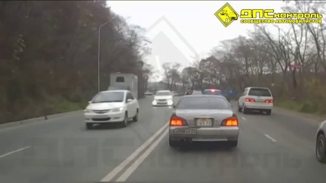 Бегающий тигр во Владивостоке смотреть онлайн