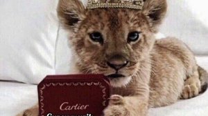 ?Новая композиция? ?Ядовитая любовь?трек 2022)?душевная песня?