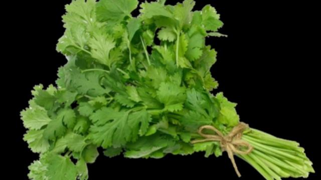 Чеснок қандай ауруға ем? Цироздан қалай арыламыз? смотреть онлайн