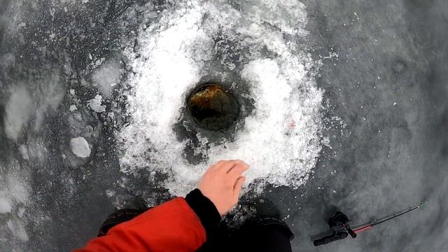 ГЛУХОЗИМЬЕ? ВОТ ЭТО СНАСТЬ! Ловля окуня на балду С СЕКРЕТОМ зимой 2022