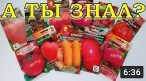 Как выбрать семена ТОМАТОВ? Обзор ПОМИДОРОВ для посадки в 2018!???