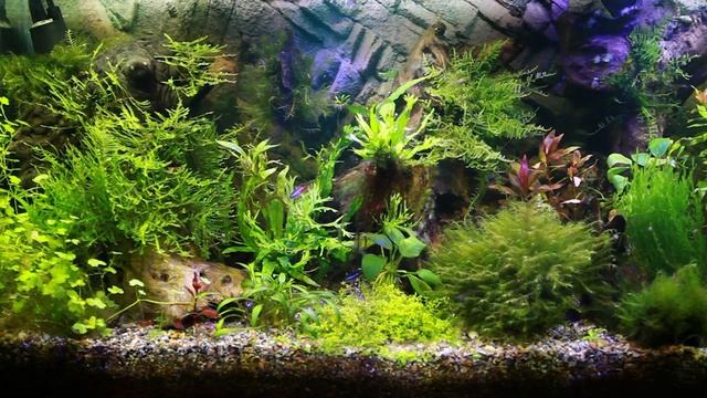 от рассвета до заката смотреть онлайн