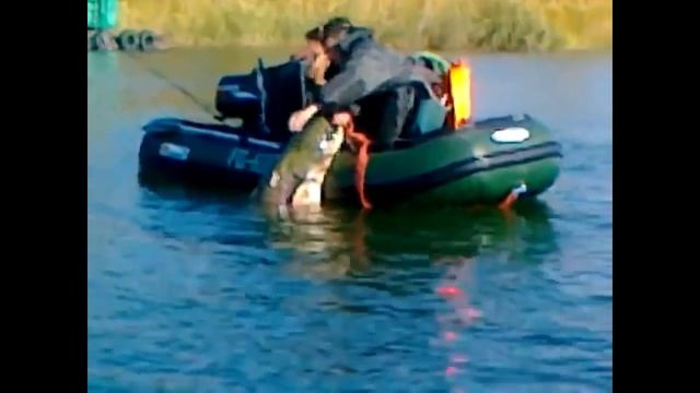 Четкие приколы на рыбалке #1 смотреть онлайн