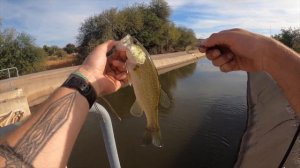 CANAL Fishing for Bass (Phoenix Arizona)