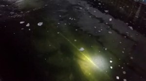 Разведение сома 28.09.18