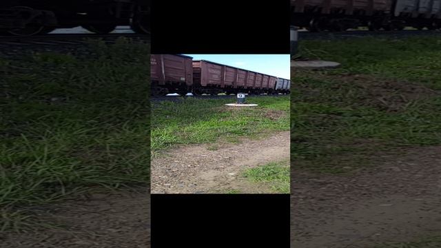 2тэ25км пропускает ра1 смотреть онлайн