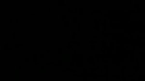 Как попросить у феи желаний живого котёнка