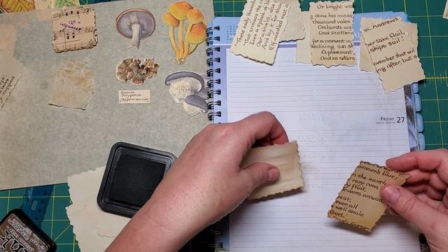 Part 10 An Autumn Country Diary September 30, 2020 смотреть онлайн