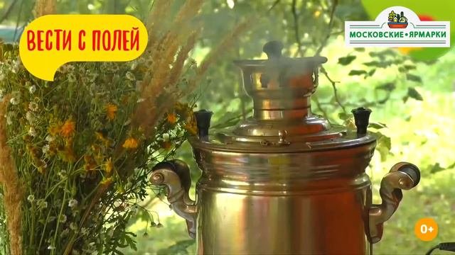 «Московские ярмарки»: мед из Чувашии