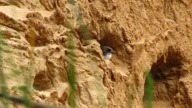 Жизнь на обрыве смотреть онлайн