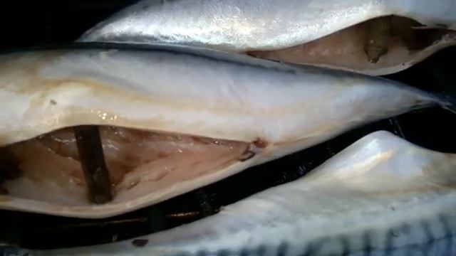 Скумбрия и Судак ГОРЯЧЕГО КОПЧЕНИЯ ну ОЧЕНЬ ВКУСНАЯ рыбка