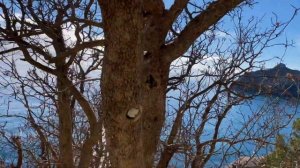 ?? Крым. Переехали в Крым на ПМЖ. Что вас ждет в Крыму. Крым сегодня. Отдых в Крыму