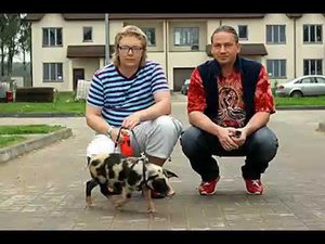 Полный эфир на радио Маяк 11 октября 2007 года