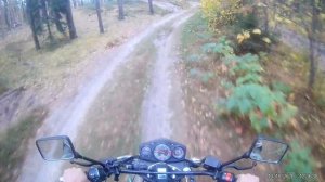 Поездка по лесным дорогам на Racer forester ч.6