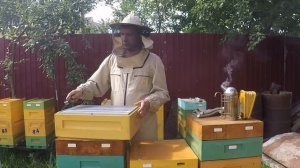 Пластиковая рамка на Пасеке Нижегородец. Ульи ППУ Нижегородец.