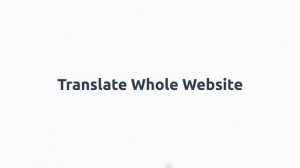 Lingvanex Translator for Web Browsers | Translate Web Page