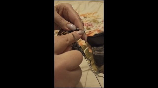 Тепло