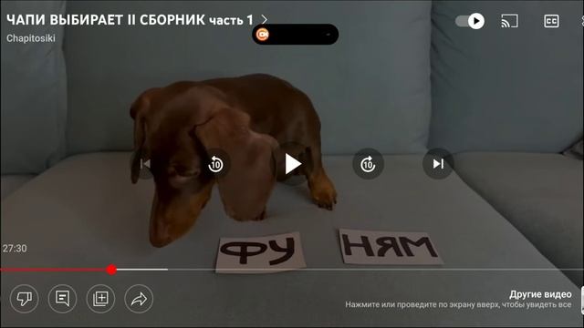 у кого такое? в YouTube и ещё как вам чёлка моего iPhone 14 Pro? смотреть онлайн