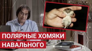 Ультиматум Байдену, конкурс "Лидеры России" и туристический кешбэк для студентов | Пчёлы Против Мёда