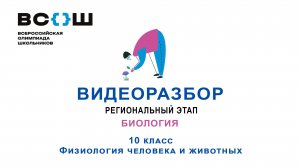 Видеоразбор. Региональный этап 2024. Биология. 10 класс. Физиология человека и животных