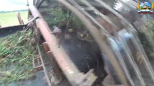 Выехали в поле копать картофель на МТЗ-82 с картофельным комбайном (24-Серия 4-Сезон)