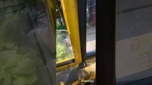 форд транзит @fordtransitclub1316 как достать стекло двери,как вставить Боковое стекло двери