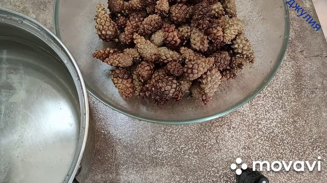 Полезное и вкусное варенье из сосновых шишек