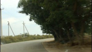 Дорога из Евпатории на Розовое озеро!