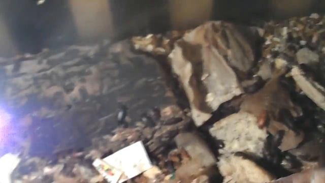 Мучные черви часть-4. смотреть онлайн