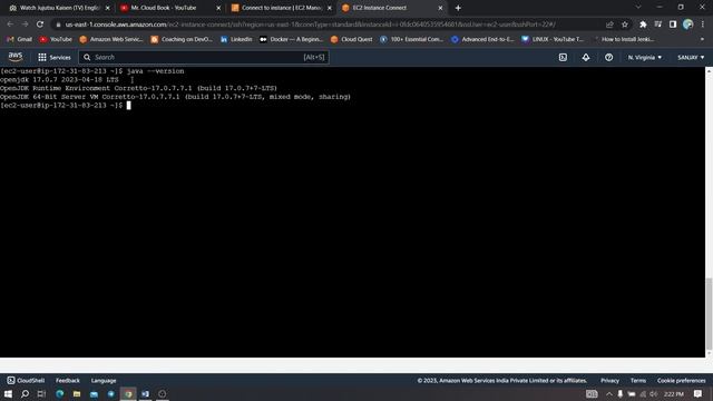 How To install JAVA 17 & JAVA 11 on AMAZON 2023 | UBUNTU | Centos