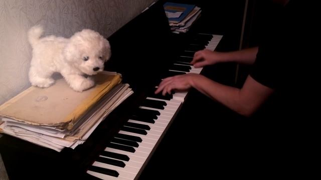 Твои шаги (Piano Cover)