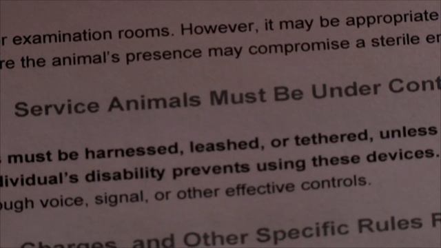 Woman says she was refused service at restaurant because of dog смотреть онлайн