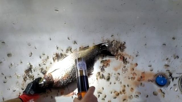 Как очистить рыбу от чешуи за 1 минуту.  How To Clean Fish From Scales In 1 Minute.