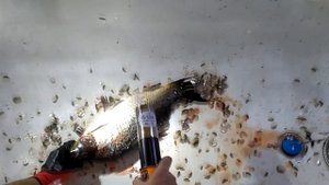 Как очистить рыбу от чешуи за 1 минуту. How to clean fish from scales in 1 minute.