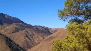 Часть 4. ???Чтобы не было мучительно больно??? Христианский рассказ. Жизненные истории