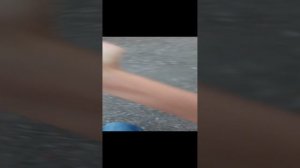 VID_20240821_142803.3gp