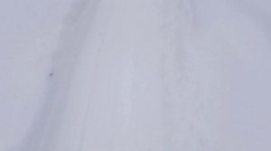 Обкатка по сугробам. Мотобуксировщик forza 6,5 .