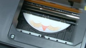 Печать на DVD Disk - Epson Stylus Photo R270