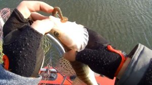 Рыбалка на судака осень 2021