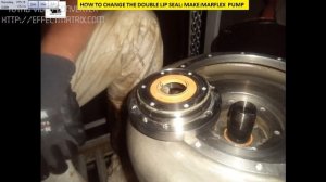 How To: Change Double Lip Seal? (Make: Marflex Pump)