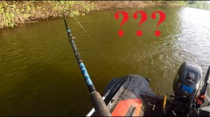 Бель на джиговую резину а судак на кукурузу