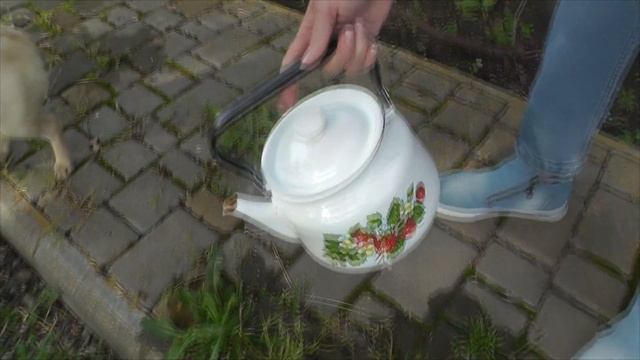 ОЧИСТКА ТРОТУАРНОЙ ПЛИТКИ ОТ ТРАВЫ - БАБУШКИН МЕТОД! смотреть онлайн