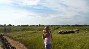 Село Романовка